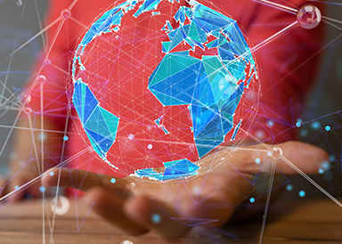 Globalt servicenetværk